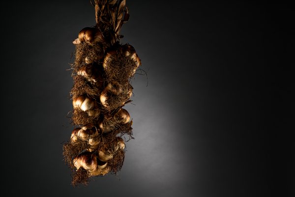 Knoflook-20